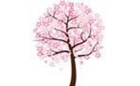 Blossoms & Design
