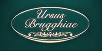 Ursus Brugghiae