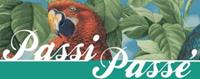 Passi Passé