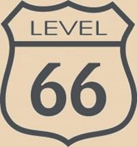 Level 66